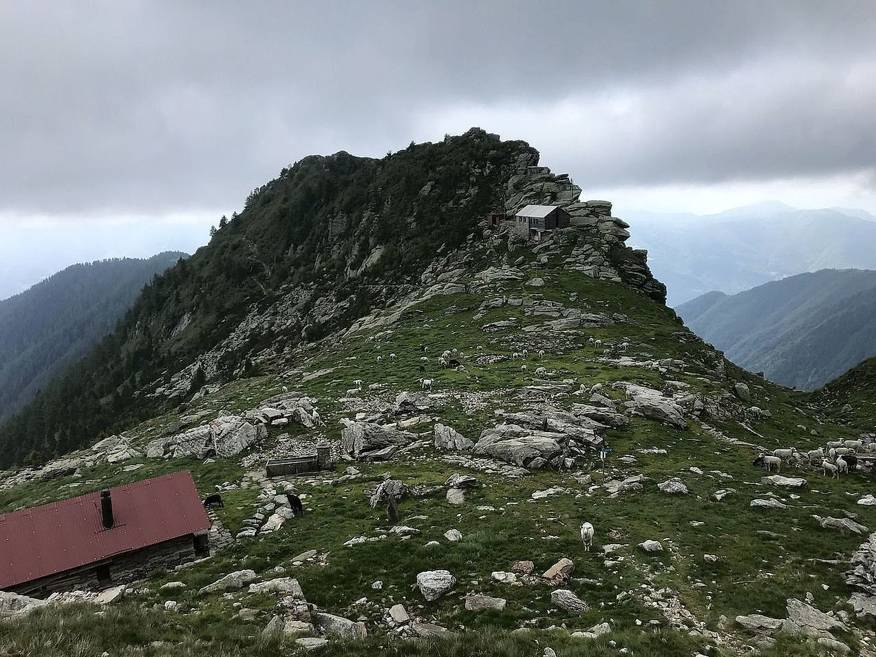 Trekking rehberi web sitesi tasarımı