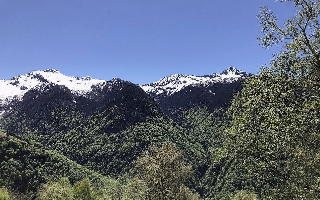 Dağ rehberi portresi